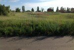 Продается участок (4 фото), Шебекинский район, Графовка