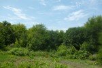 Земельный участок (3 фото), Белгородский район, Пушкарное