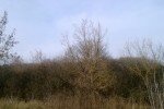 Земельный участок в черте города (фото недвижимости 1)