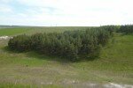 Земельный участок (1 фото), Белгородский район, Ближняя Игуменка