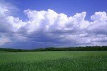 Срочная продажа участка (1 фото), Белгородский район, Никольское